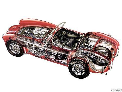 Ac Cobra Cutaway T-Shirt #2