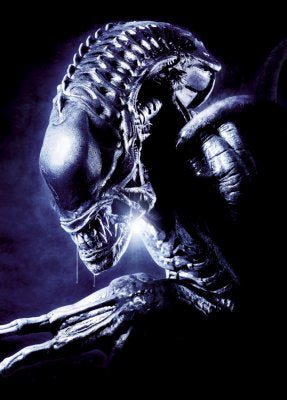 Alien Vs. Predator Movie poster 27"x40" 27x40 Oversize #1