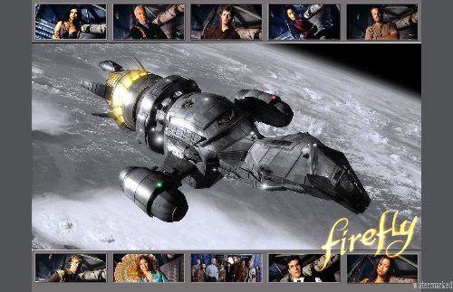 Firefly Puzzle Jigsaw Puzzle Choose a Size