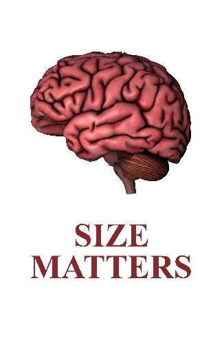 Human Brain Size Humor T-Shirt A39051