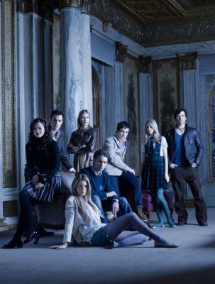 Gossip Girl Puzzle Jigsaw Puzzle Choose a Size