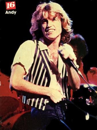 Andy Gibb Mouse Pad Mousepad