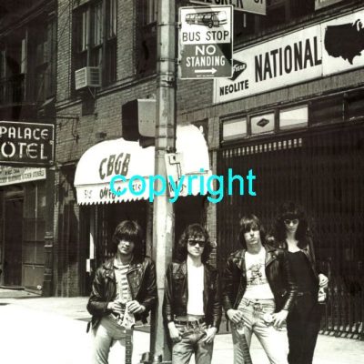 The Ramones Poster 5 sizes BZ531