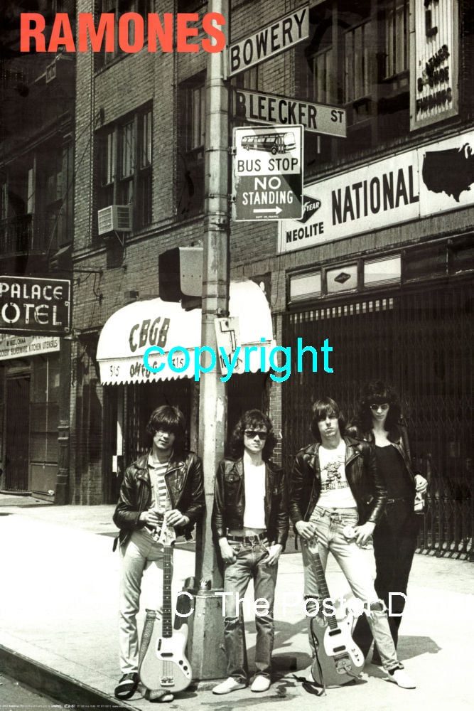 The Ramones Poster 5 sizes BZ531