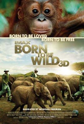Born To Be Wild Movie T-Shirt