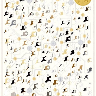 Dog Breeds Diagram Groups Poster #4152401