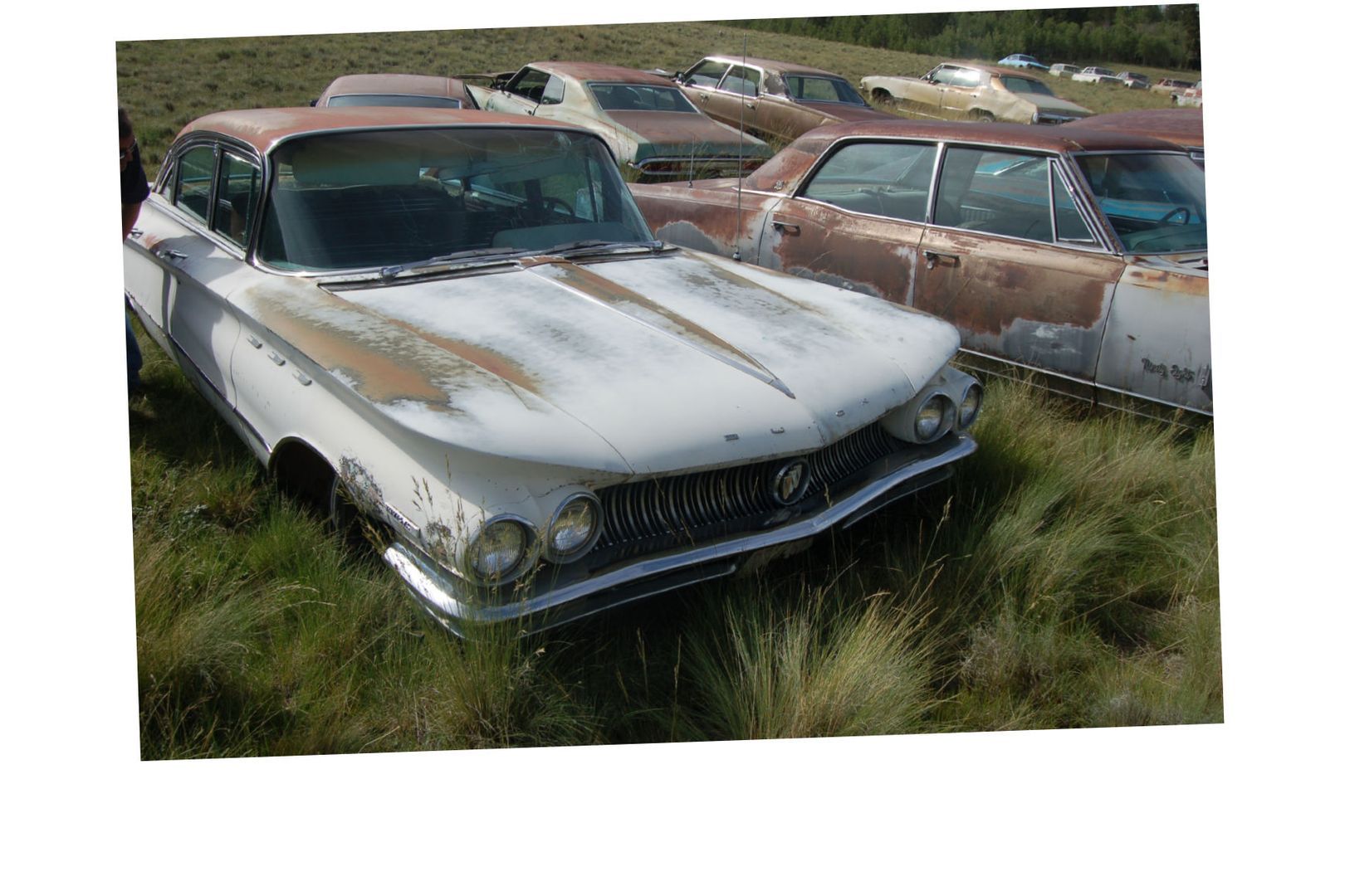 Junkyard Cars Photo T-Shirt Buick rusty Car A6733