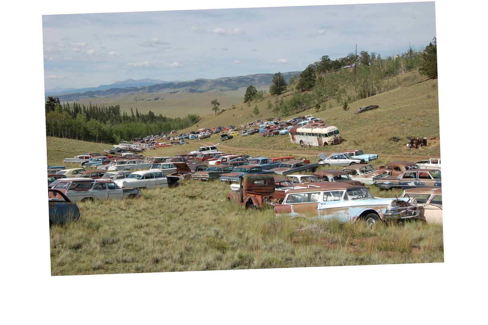 Junkyard Cars Photo T-Shirt Rocky Mountains rusty Car A36841