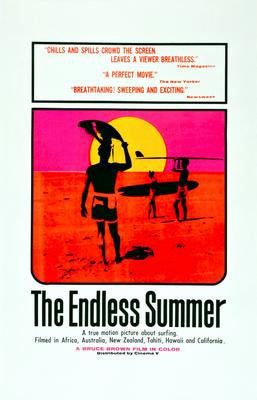 Endless Summer Puzzle Jigsaw Puzzle Choose a Size