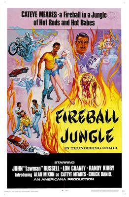 Fireball Jungle Puzzle Jigsaw Puzzle Choose a Size