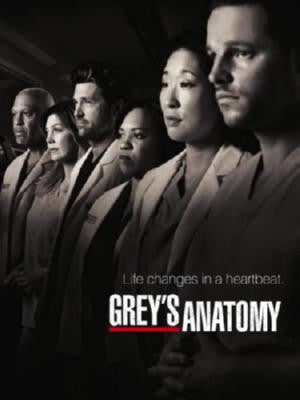 Greys Anatomy Puzzle Jigsaw Puzzle Choose a Size