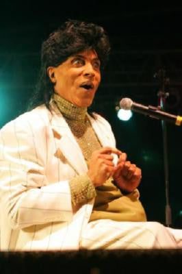 Little Richard Puzzle Jigsaw Puzzle Choose a Size