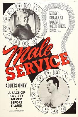 Male Service Movie Poster T-Shirt A26545