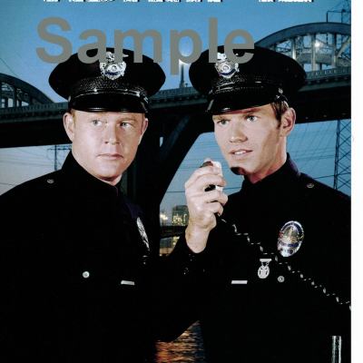 Madonna poster Metal Sign Wall Art 8in x 12in 12"x16" Black and White