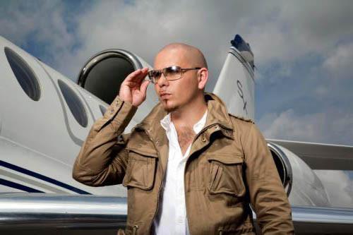 Pitbull T-Shirt A32970