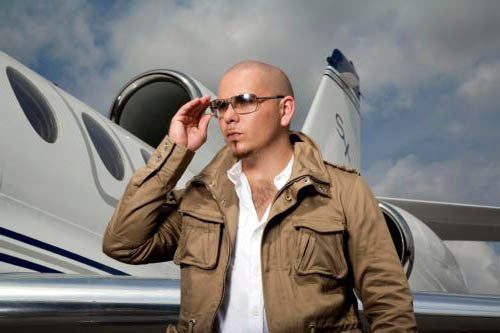 Pitbull Puzzle Jigsaw Puzzle Choose a Size