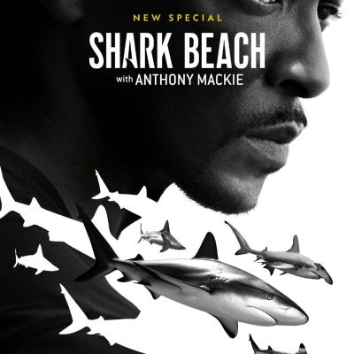 Shark Beach With Anthony Mackie Poster 24X36 24"X36" #272501