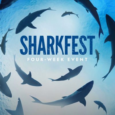 Sharkfest Poster 24X36 24"X36" #272501