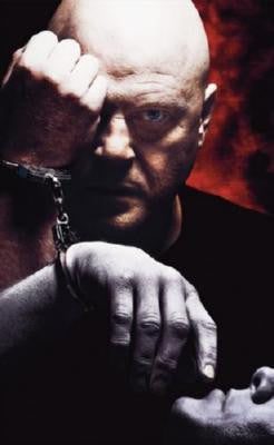 Shield The Mouse Pad Mousepad