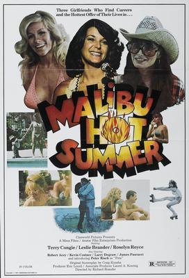 Malibu Hot Summer Movie Poster T-Shirt A39056