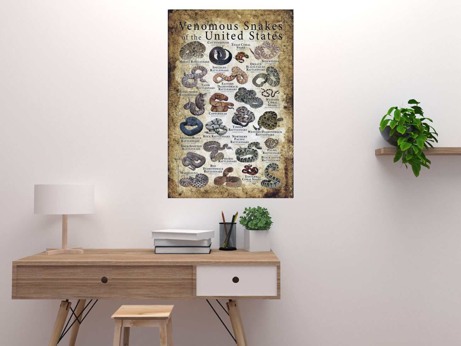 Snakes Poster 24X36 24"X36" #272502 - Image 2