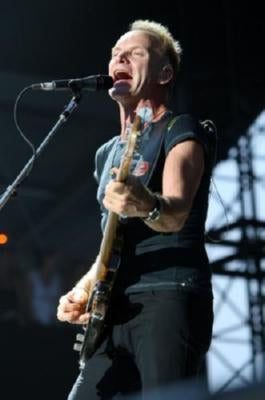 Sting T-Shirt A40641