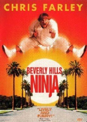 Beverly Hills Ninja T-Shirt