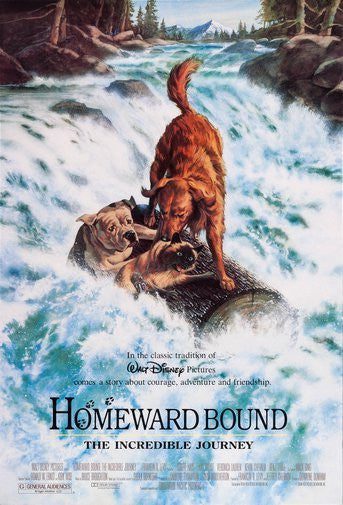 Homeward Bound Puzzle Jigsaw Puzzle Choose a Size