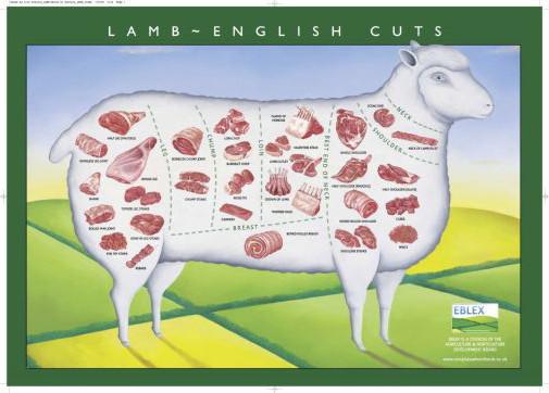Lamb Cuts Illustration ChT-Shirt A24089