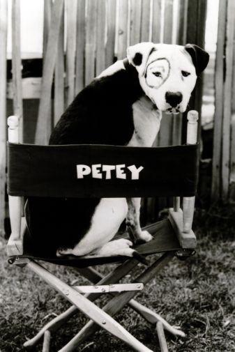 Little Rascals Petey T-Shirt A25219