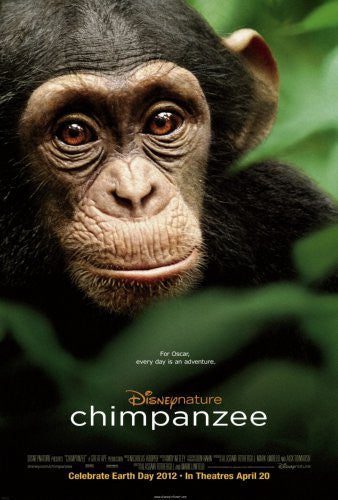Chimpanzee Mouse Pad Mousepad