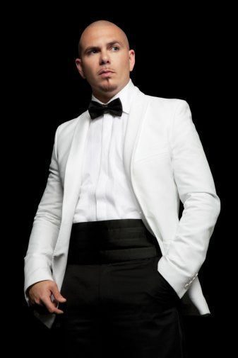 Pitbull Puzzle Jigsaw Puzzle Choose a Size