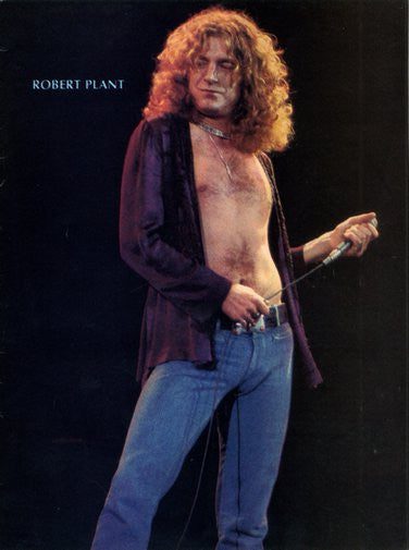 Robert Plant Puzzle Jigsaw Puzzle Choose a Size