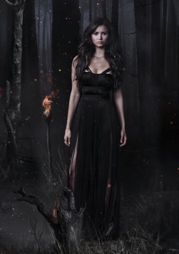 Vampire Diaries poster print B340