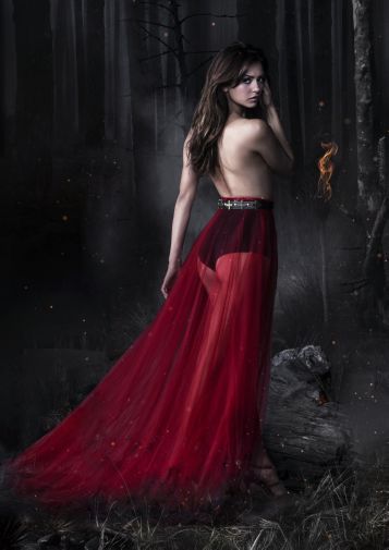 Vampire Diaries poster print B341