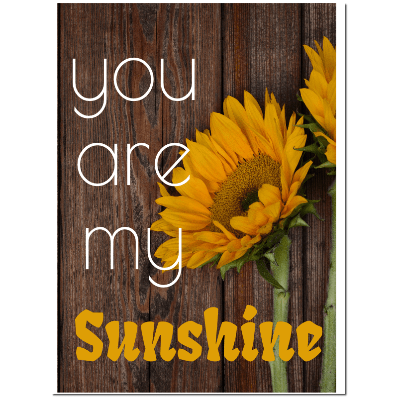 You are my sunshine T-Shirt Country Modern Farmhouse A29080